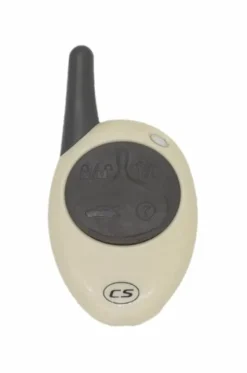 Compustar 1WFM4R Key Fob Remote
