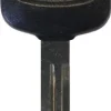 NI02 Transponder Key